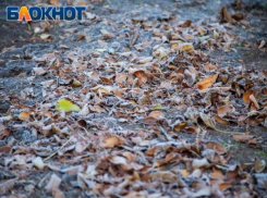 Ноябрьским утром воздух чист