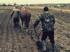 Четырехдневная рабочая неделя волнует умы трудящихся