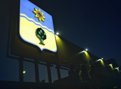 В Волжском займутся развитием экологической культуры