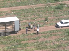 В Волгоградской области прошла масштабная облава на нелегальных мигрантов