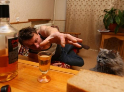 Я хочу выселить соседей-алкоголиков через суд, - волжанка