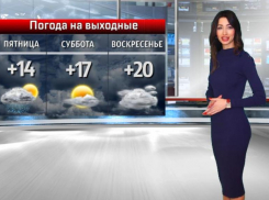 Солнце не порадует волжан в Вербное воскресенье: прогноз погоды