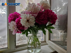 В день окрошки в Волжском будет душно: прогноз погоды