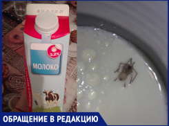 «В молоке обнаружила паука»,- волжанка Екатерина Григорьева