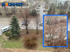 Не выжил: тело сбитого на Мира мужчины исследуют