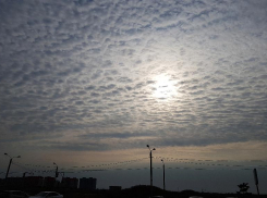 Синоптики в среду обещают дождливую погоду