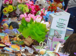 Поделки волжан помогут спасти бездомных животных 