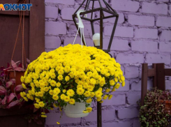 День Белой зимы: какие приметы, обычаи и запреты связаны с Аввакумовым днем