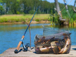«Народный рыболовный фестиваль» состоится в Волжском