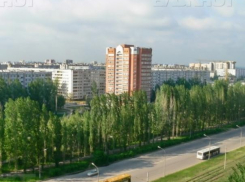 В городе стоит жуткая вонь мусора, - волжанин