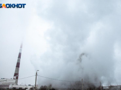 Отчет об экологии Волжского похудел с 70 до 17 страниц за 4 года