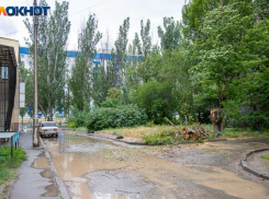 Сильный ветер прогнозируют в Волжском в четверг