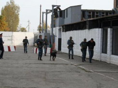 Календарь Волжского: 2 октября создана 12-я исправительная колония 