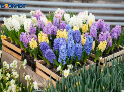 Кому цветы, а кому интимные игрушки: волжский астролог раскрыл секреты подарков на 8 Марта