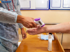 О новом штамме вируса гриппа предупреждают жителей Волгоградской области