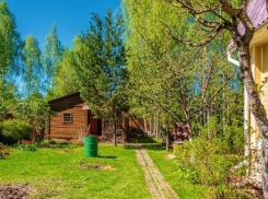 В регионе из-за долгов за электроэнергию банкротство ожидает тридцать СНТ. Кто виноват и что делать дачникам?