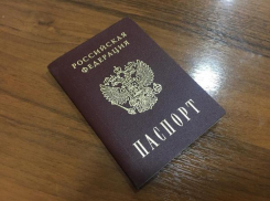 Волжанка подделала паспорт, чтобы взять микрозайм