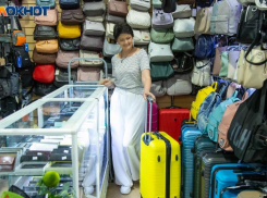 Друг, которого стоит взять с собой в отпуск