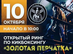 В Волжском пройдет открытый ринг по кикбоксингу
