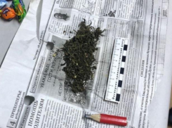 Полиция задержала мужчину, приехавшего на заработки с марихуаной 