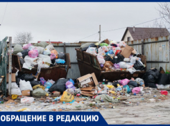 Жители СНТ «Заканалье» под Волжским показали горы мусора, не вывезенного с Нового года