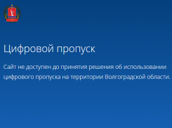 Сайт «Цифрового пропуска» стал недоступным для жителей области