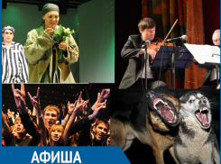 Рок-сейшн, Стая и Популярная классика: Куда пойти в Волжском  