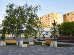 Площадь Волжского предложили назвать в честь поэта-песенника Михаила Танича