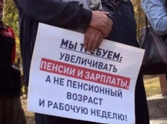 Петицию против повышения пенсионного возраста подписали около 2 миллионов
