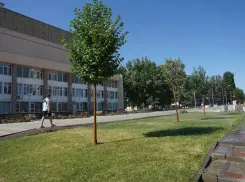 В Волжском появится интерактивная карта зеленных насаждений