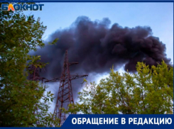«Задыхаемся от едкого дыма ночами»,- волжанка жалуется на сжигателей травы
