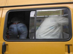 Волжан расспросят про маршрутки