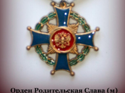 Семью из Волжского наградили орденом «Родительская слава»