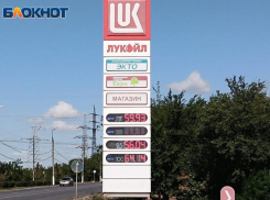 44% опрошенных волжан смогут отказаться от личного авто если цены на топливо продолжат расти