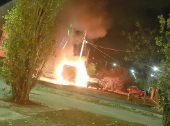 В Волжском пироманы сожгли две старенькие легковушки 