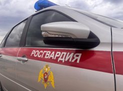 Более 2,5 тысячи рублей ущерба: в Волжском пресекли две кражи в магазине