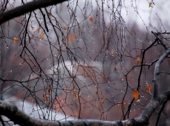 В Волгоградской области на выходных обещают дожди и сильный ветер