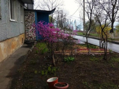 В Волжском пройдет конкурс с номинацией «Суперподъезд»