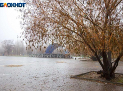 Среда в Волжском начнется с плотного тумана: прогноз погоды