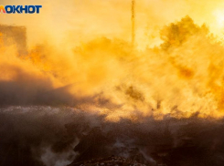 В воскресенье пахло гарью: подробности всех пожаров близ Волжского за минувшие сутки