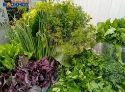 Лето в тарелке: как волжанам максимально использовать пользу свежей зелени в августе?