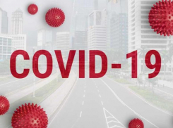 Главное о COVID-19 в Волгоградской области за 26 января