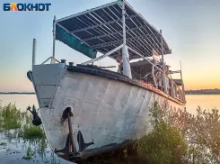 Оранжевый уровень опасности: в Волгоградской области засуха и жара бьют рекорды
