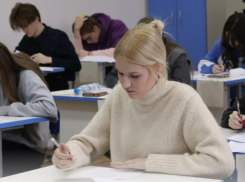 Волжские школьники взяли более 100 наград на олимпиадах