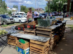 В Волжском усилили рейды против несанкционированной торговли