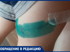 3-летнего мальчика чуть не растерзали собаки: теперь ребенок боится выходить на улицу в Волжском