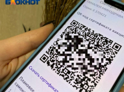 Закон о QR-кодах могут поставить на паузу в Волжском 