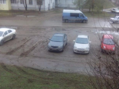 Волжские пешеходы и владельцы автомобилей не могут поделить зелёную зону