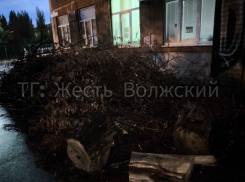 В Волжском рискуют жизнью детей? Клуб для малышей «Мечтатель» — на пороховой бочке