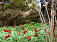 Мужчина скончался в реанимации после пожара под Волжским